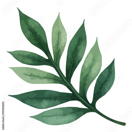 green leaves watercolor