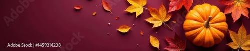 Wallpaper Mural Autumn leaves & pumpkin flatlay Dark maroon background Thanksgiving/Halloween , thanksgiving, festive, autumn Torontodigital.ca