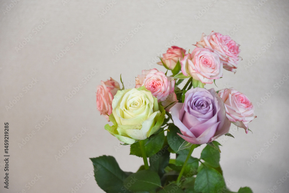 Obraz premium カラフルなばら