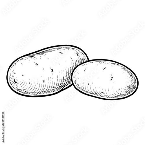 Potato 12