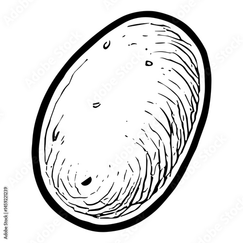 Potato 14