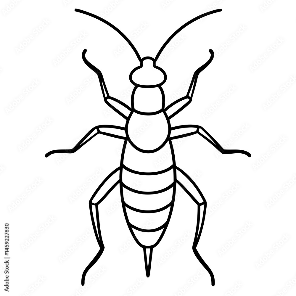Sleek Earwig Outline Illustration Sleek Earwig Outline Illustration