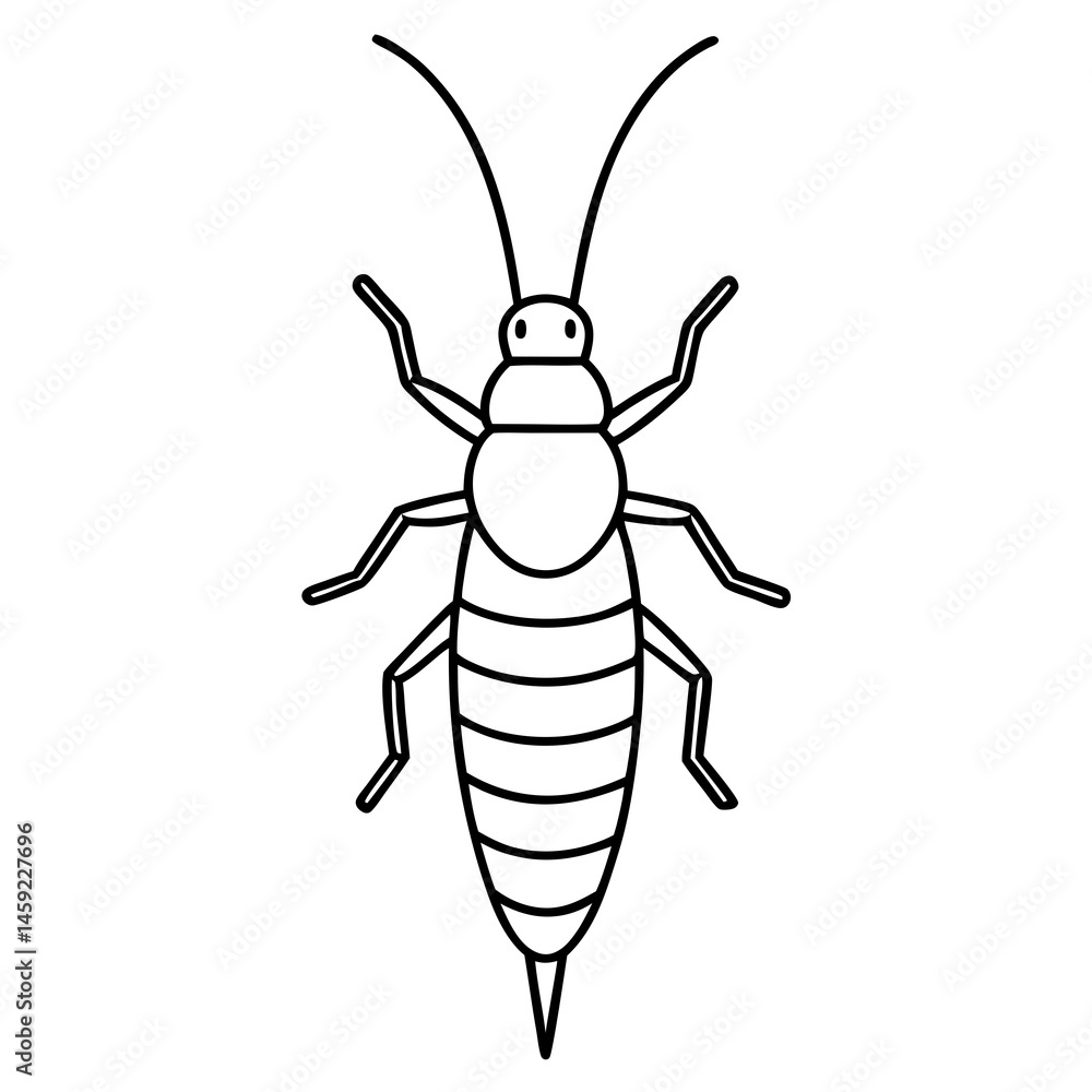 Sleek Earwig Outline Illustration Sleek Earwig Outline Illustration