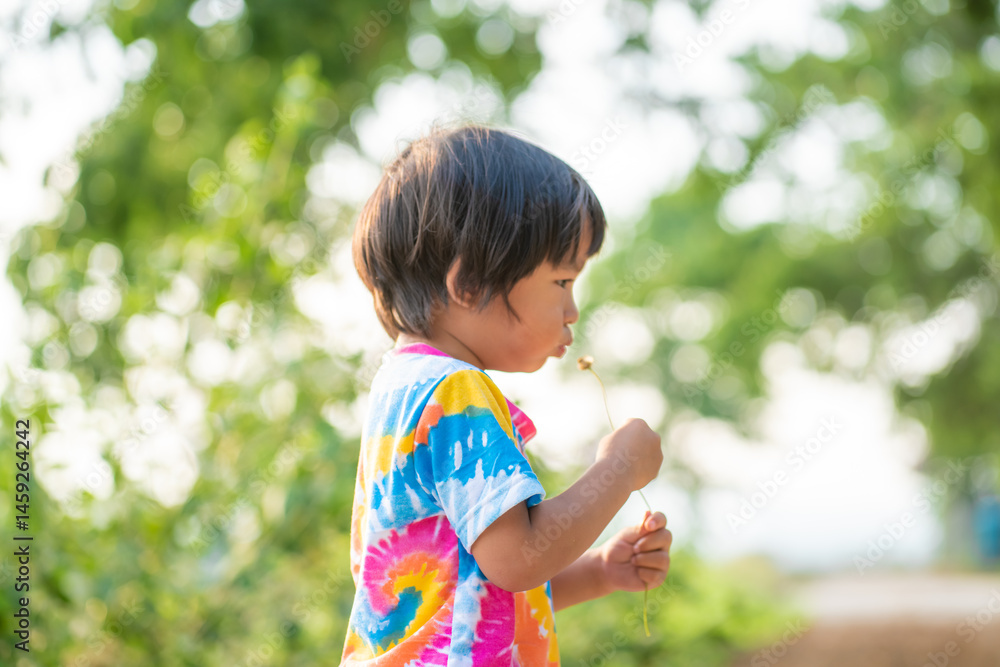 Asian boy playinng grass flower sunset light in outdoor park