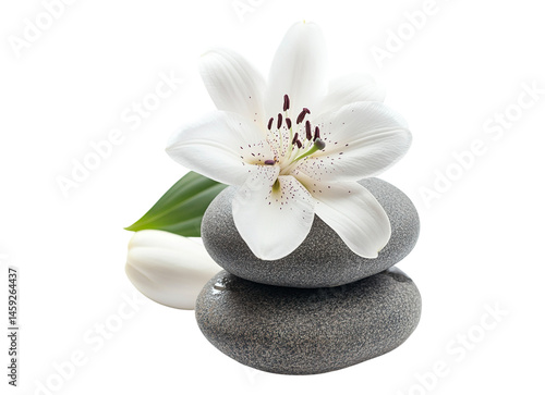 Spa setting lily