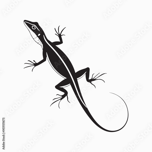 green anole lizard vector