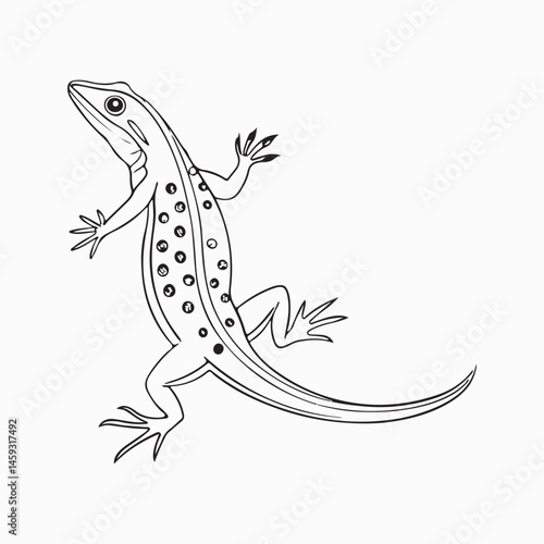 green anole lizard vector