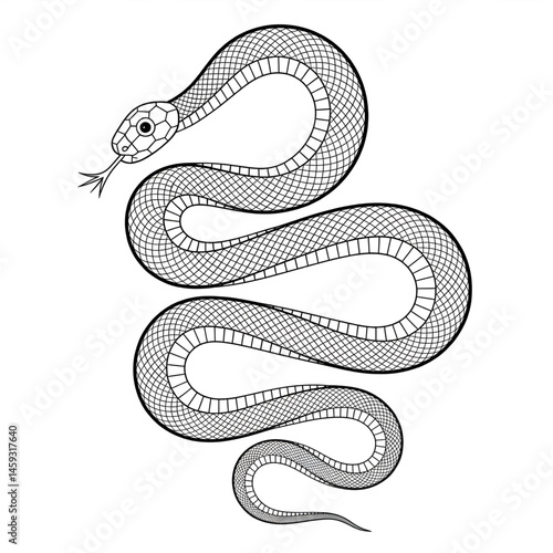 ‎A black and white Snake illustration line art of a coloring page