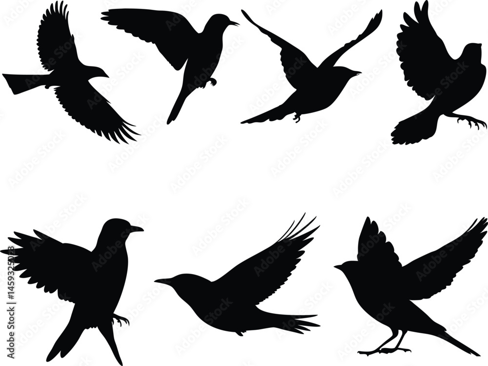 Fototapeta premium Flying Bird Silhouettes Collection, Black Vector Birds in Flight and Perch