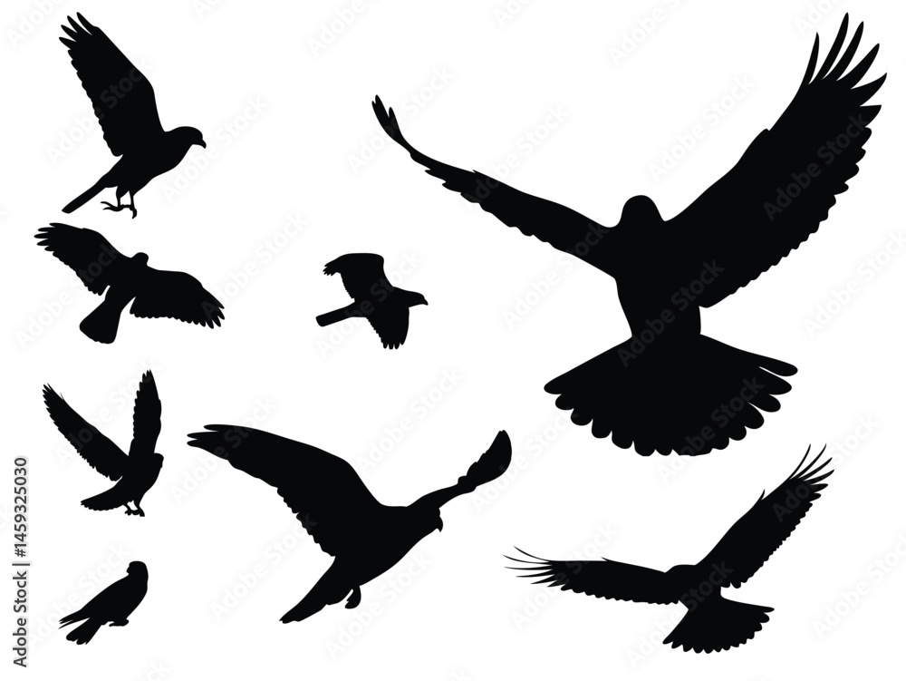 Obraz premium Vector of a flock of birds flying in silhouette