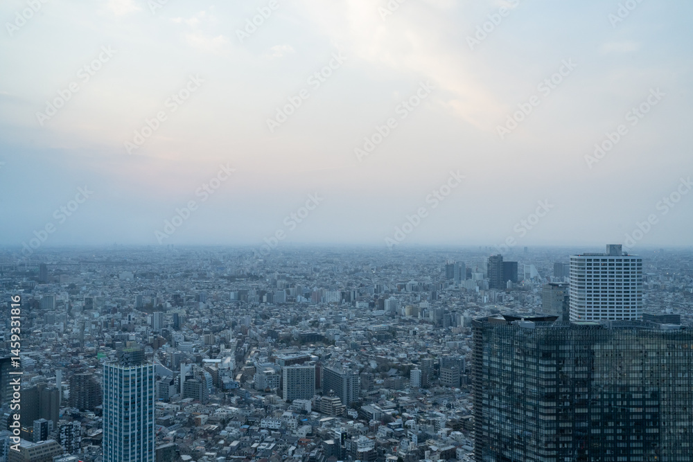 Fototapeta premium 東京都庁第一本庁舎の北展望室からの眺め