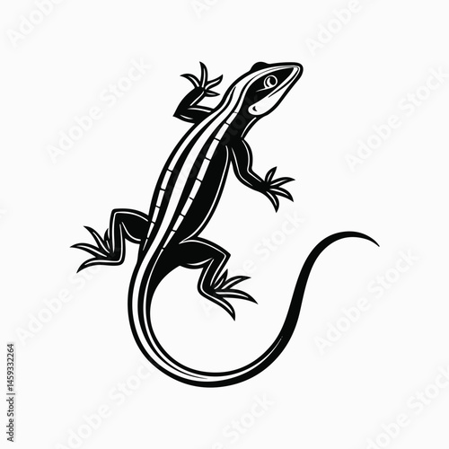 green anole lizard vector