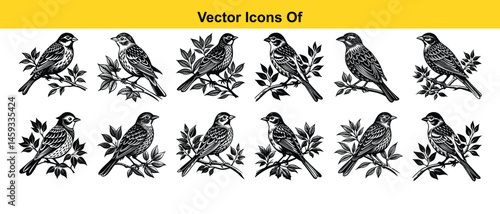 Set of silhouettes of birds isolated on white background. Vector silhouett. A vector set shows silhouettes of flying birds,a collection of black animal icon representing wild wings in natural flight