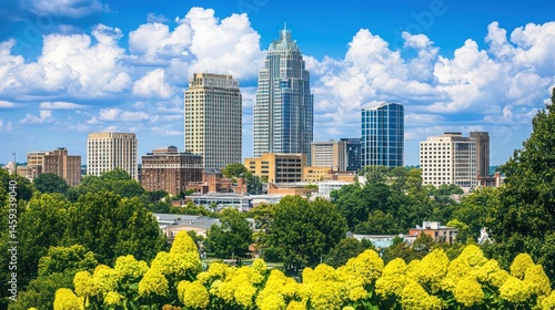 Raleigh Skyline View from Elevated Park