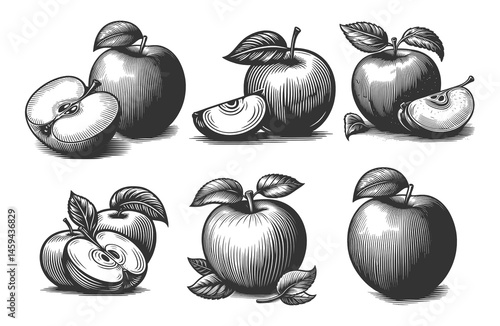 apples, sliced apples, and leafy branches Set collection bundle sketch engraving generative ai vector illustration. Scratch board imitation. Black and white image.