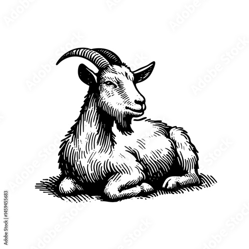 vintage black and white ink illustrations of goat in various poses, isolated on white background, rustic countryside farm style, detailed sketch.