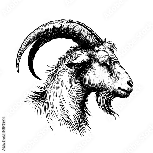 vintage black and white ink illustrations of goat in various poses, isolated on white background, rustic countryside farm style, detailed sketch.