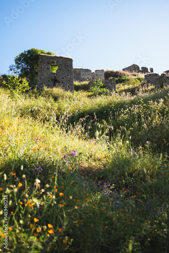 Fotografie abandoned village on the flowery hill