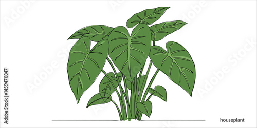 Lush houseplant leaves close up continuous single line art drawing sketch on white background