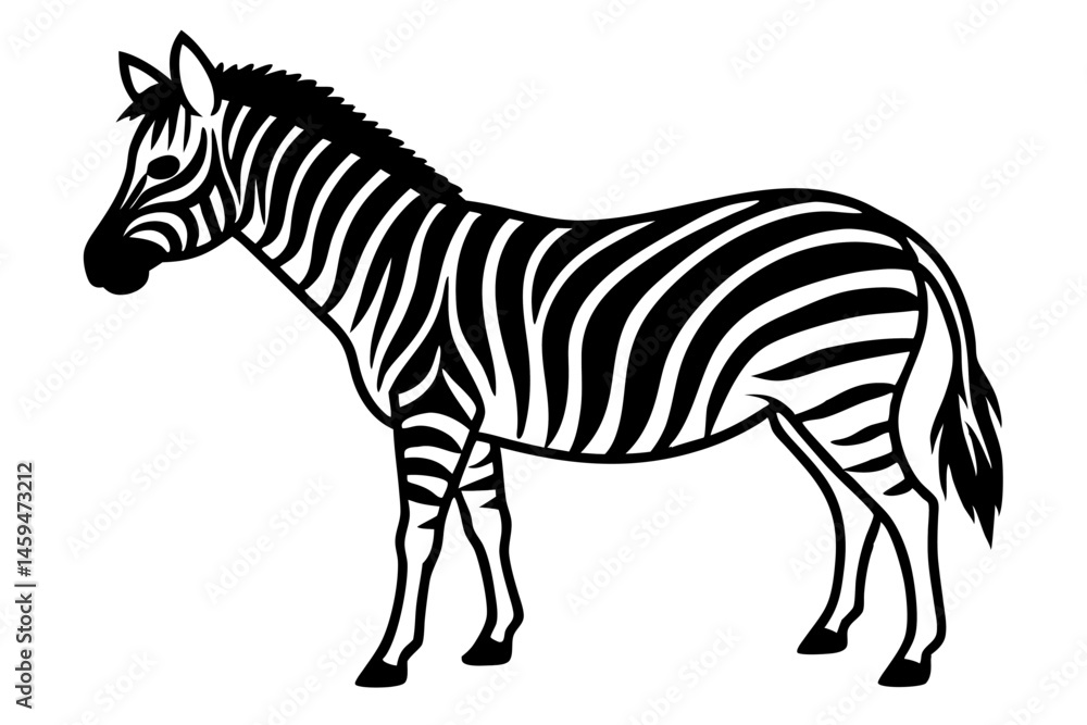 Fototapeta premium zebra isolated on white