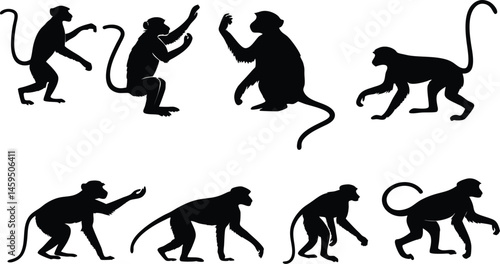 silhouette set of monkey 