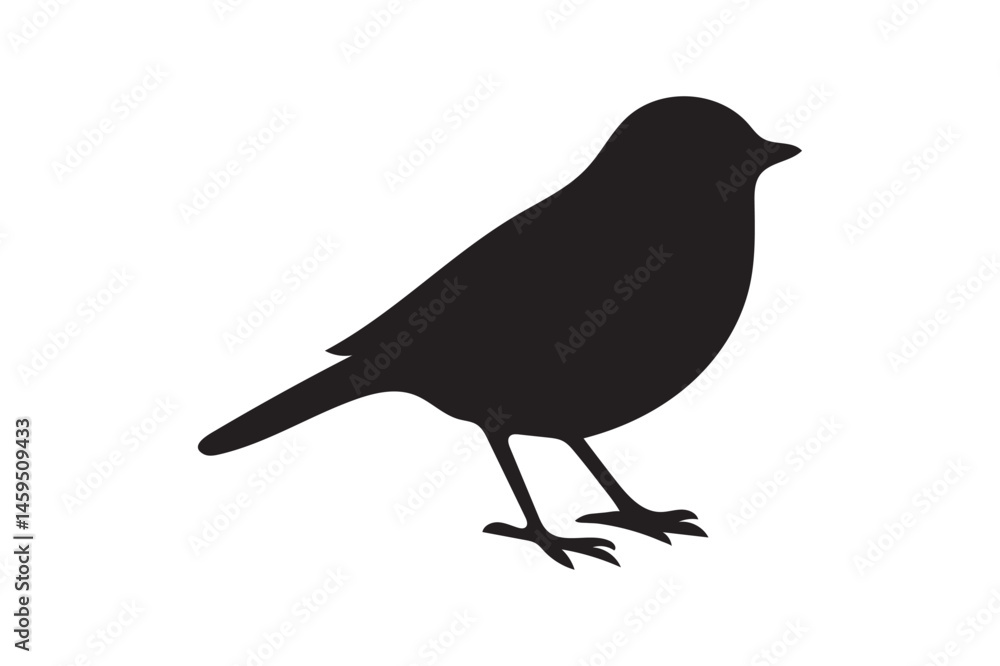 Obraz premium Birds black silhouettes on white background.01