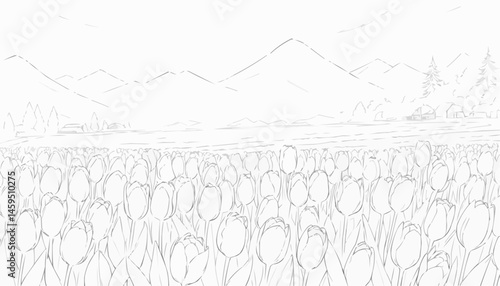 Scenic outline of tulip fields with mountains and landscape for coloring