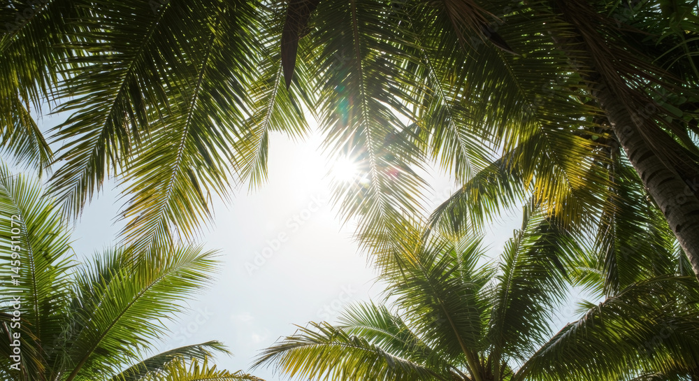 Naklejka premium Palm trees viewed from below against bright blue sky with sun rays. Tropical summer perspective. Exotic vacation atmosphere. Travel destination. Resort paradise. Upward looking view. Horizontal banner