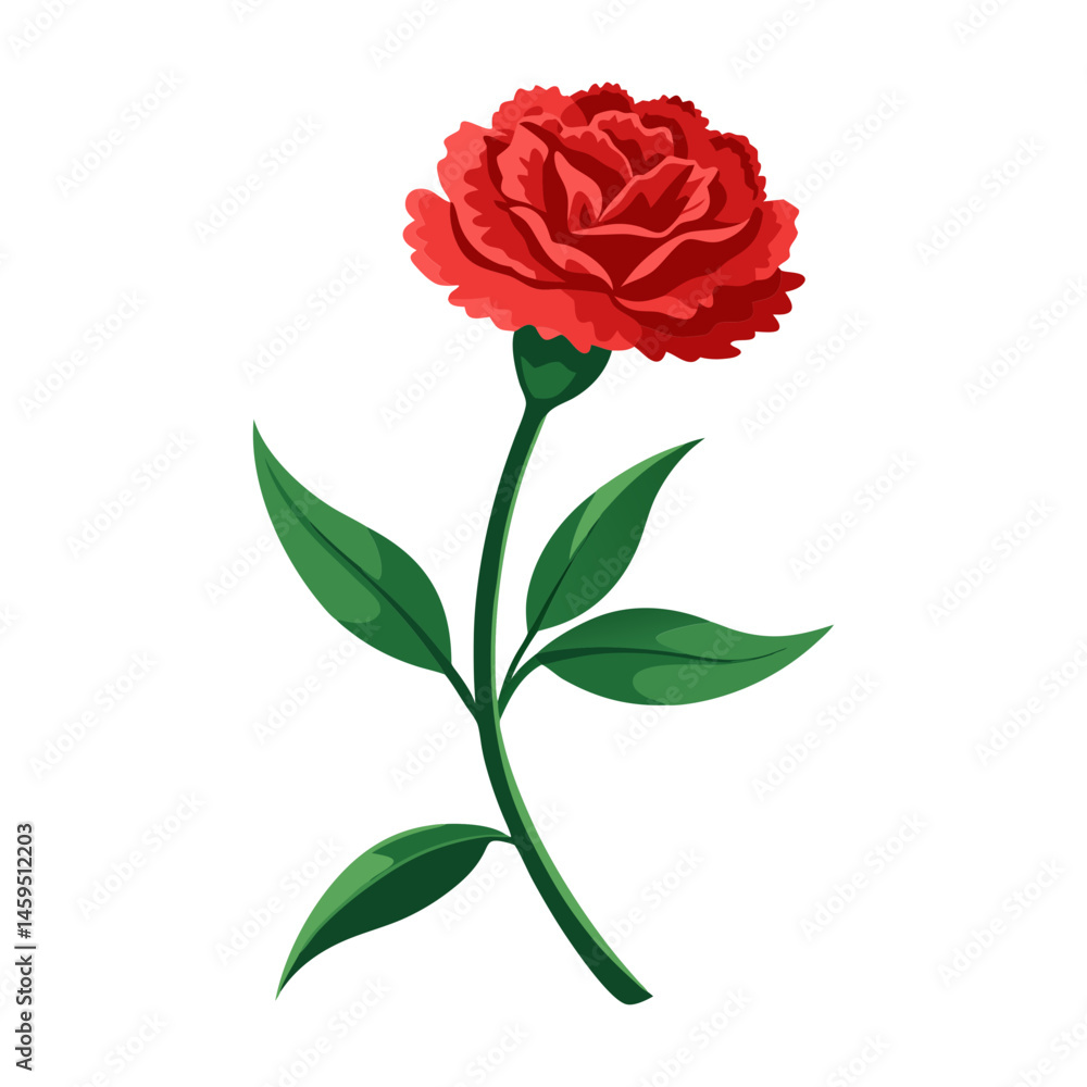 Download Carnation Flower Illustration Eps File For Design. Download Carnation Flower Illustration Eps File For Design.