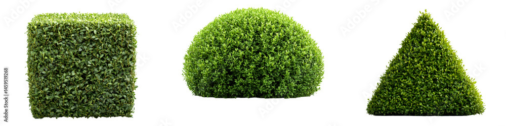 Obraz premium Various Green Hedge Shapes for Landscape Design and Gardening Isolate on Transparent Background, cutout, png