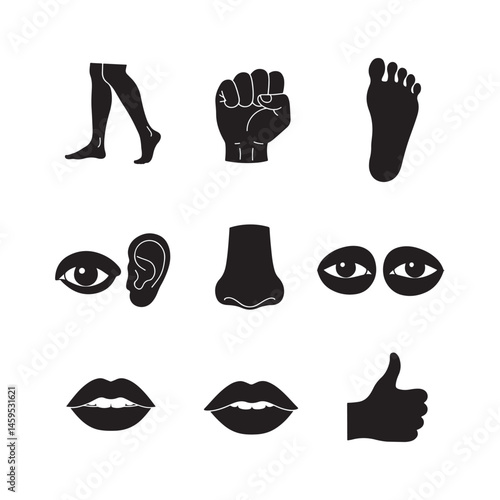 vector set of human internal organs eyes, lips biceps thumbs up icon design illustrations