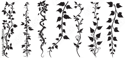 climbing hawthorn plants silhouette set vector, collection of ornamental vine silhouettes perfect for design