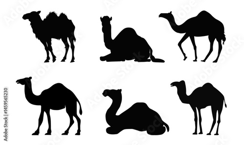 camels vectors, camel silhouettes
