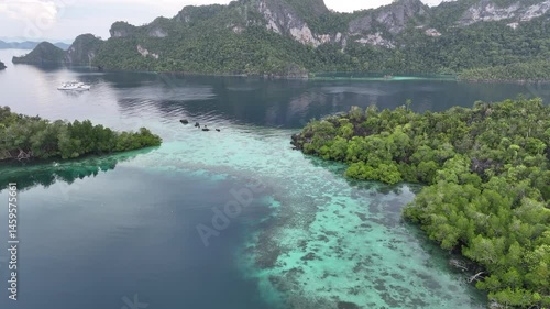 Rock islands rise from the beautiful seascape in Pelee, Raja Ampat, Indonesia. This area is known as the heart of marine biodiversity and is a popular destination for diving and snorkeling.