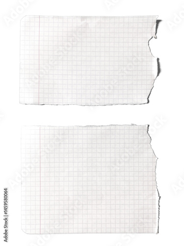 Torn Notebook Pages: Capturing the essence of education and creativity, these torn notebook pages offer a clean and versatile backdrop for your concepts.	
