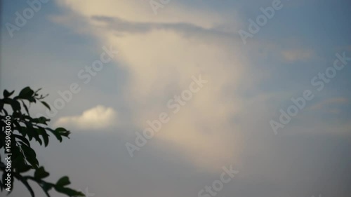 morning leaves and clouds