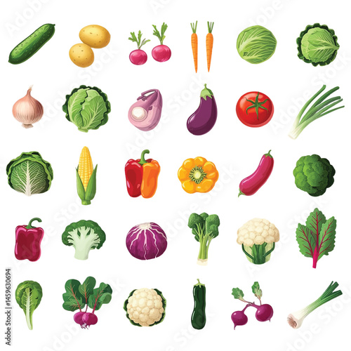 Set of Fresh Colorful Vegetables – Vector Illustration Collection on White Background