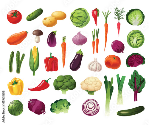 Set of Fresh Colorful Vegetables – Vector Illustration Collection on White Background