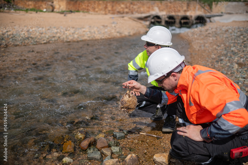 Environmental engineer or workers examining waste water along a large industrial waste water or pollution monitoring and maintenance to ensure systems operate effective environmental regulations. Environmental engineer or workers examining waste water along a large industrial waste water or pollution monitoring and maintenance to ensure systems operate effective environmental regulations.