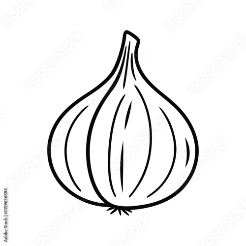 Line Art Garlic Vector, Garlic Bulb and Cloves Vector, Detailed Garlic Illustration