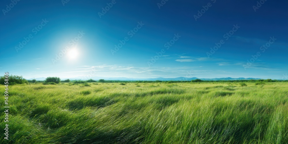 Expansive green field under a bright sun with distant mountains on a clear day Expansive green field under a bright sun with distant mountains on a clear day