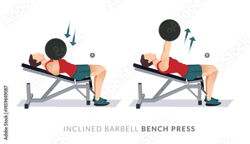 INCLINED BARBELL BENCH PRESS, Men GYM workout fitness, aerobic and exercises.