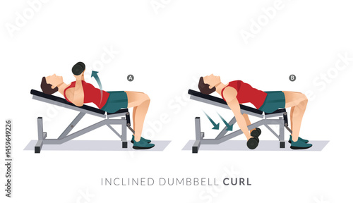 INCLINED DUMBBELL CURL, Men GYM workout fitness, aerobic and exercises.