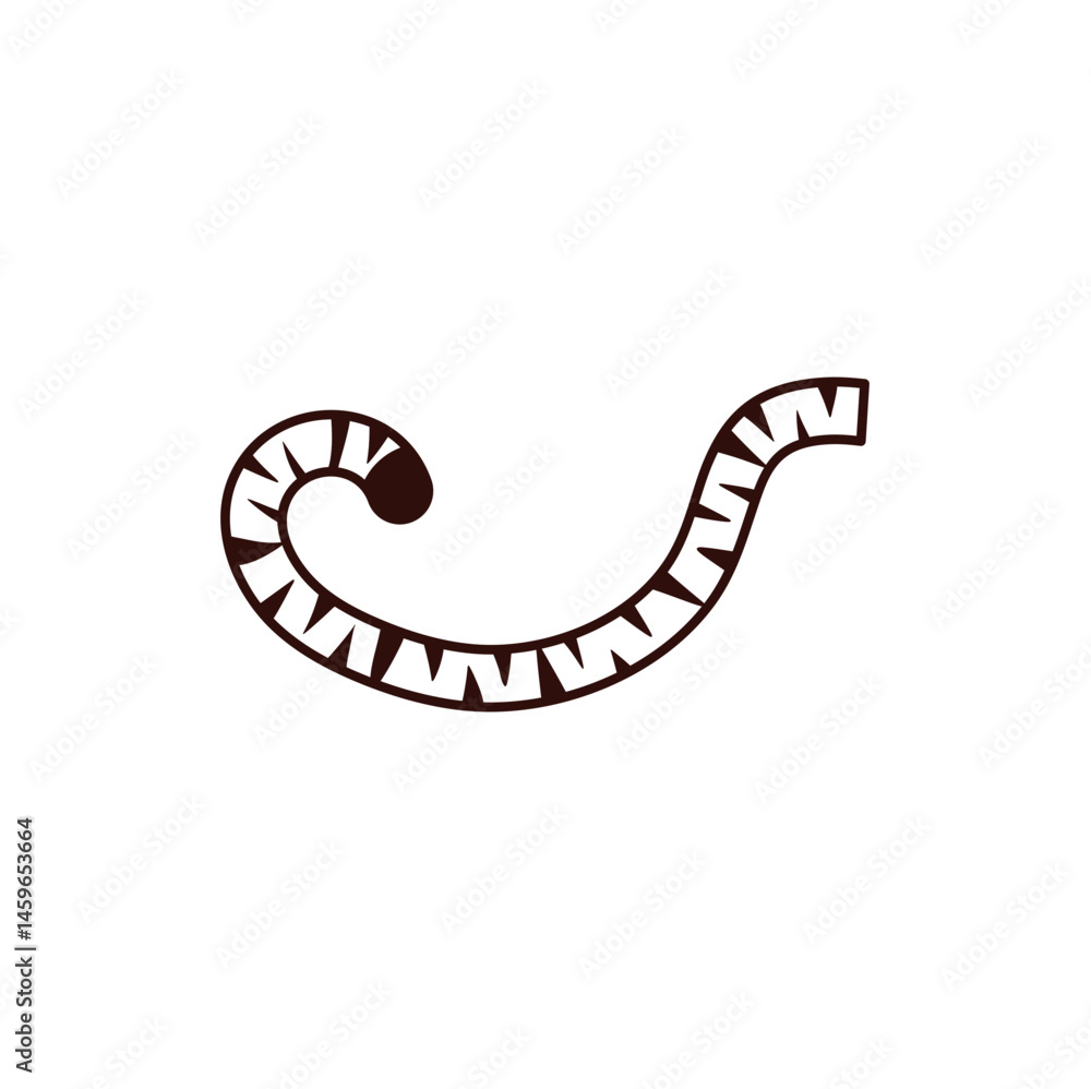Fototapeta premium Hand drawn tiger tail. Vector illustration