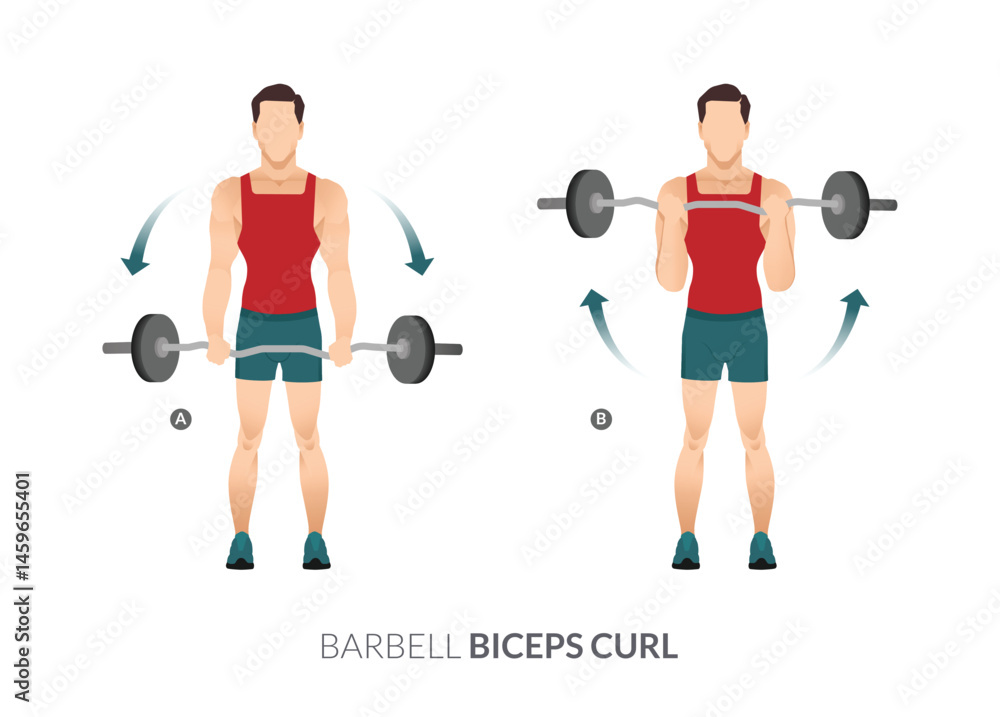 Obraz premium BARBELL BICEPS CURL, Men GYM workout fitness, aerobic and exercises.