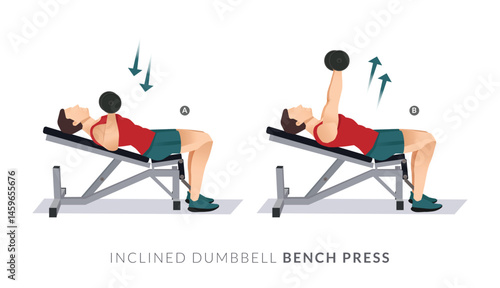 INCLINED DUMBBELL BENCH PRESS, Men GYM workout fitness, aerobic and exercises.