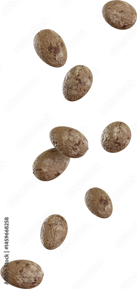 Falling Nutmeg Spices Falling Nutmeg Spices