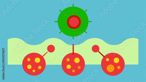 Inflammation Reduction A simple graphic showing a scar area with inflamed cells depicted in red transforming into healthier cells in green after exosomes are introduced.
