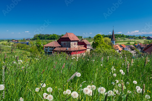 Alpine springtime meadows with Hagenwil Castle at Amriswil in the Canton of Thurgau in Switzerland