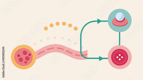 Healing Pathway A pathway diagram showing how exosomes travel from application site to tissue layers activating healing processes in various skin cells.